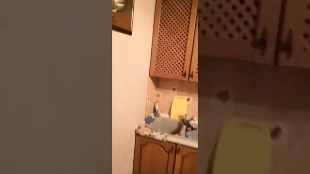 г.Сергиев Посад, ул. Осипенко 6 _Аренда смотреть онлайн