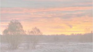 Розенбаум Осень
