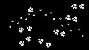 Ich mag gern Schokolade ❤️ (aber dich mag ich am liebsten) | TiRiLi - Kinderlieder