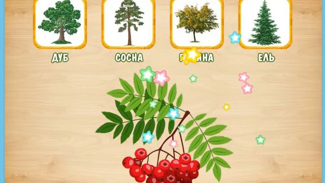 Познавательные игры. Деревья. Играемся.ру