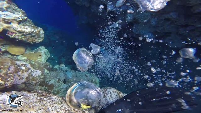 Клубная поездка в Дахаб 2015. Черная Акула.