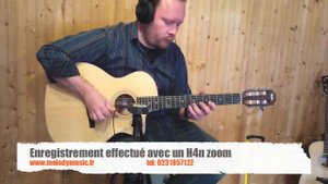 Taylor 214n ce guitare nylon avec differents styles