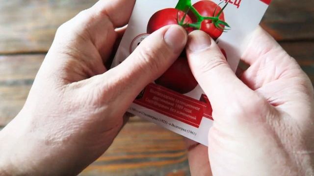 Томат Волгоградец ??? Для открытого грунта! смотреть онлайн