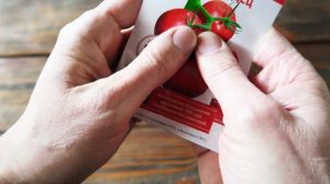 Томат Волгоградец ??? Для открытого грунта!