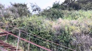 ,,пляж,, Джубга отсутствие пляжа и инфраструктуры