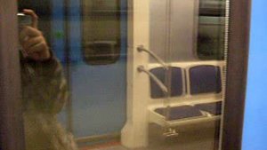 Перегон Новокосино - Новогиреево