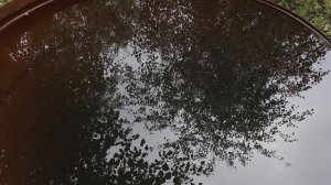 Горная природа в ожидании Осени....