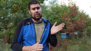 Поздний расплод у пчел. Причина позднего расплода у пчел