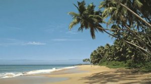 Доклад " Индийский океан" 4 класс