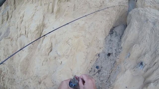 РЫБАЛКА НА ДОНУ В ВОРОНЕЖСКОЙ ОБЛАСТИ. РЫБАЛКА ЛЕТОМ. Карась и густера на фидер. смотреть онлайн