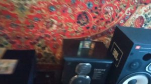 JBL 4312b mk2  + амурский тигр