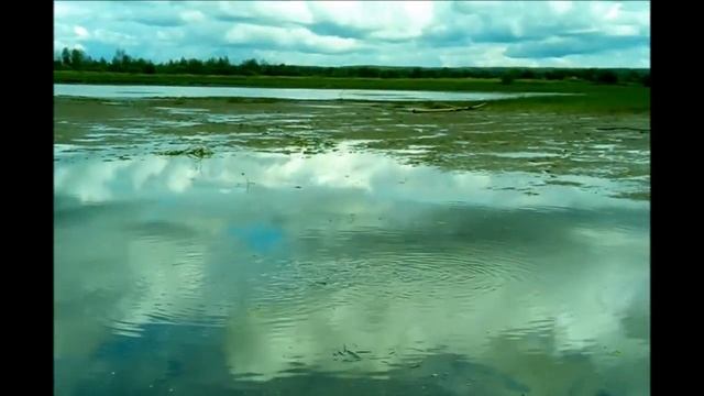 Ловлю рыбу руками смотреть онлайн