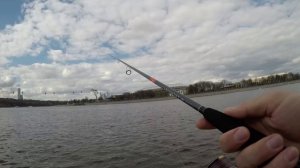 Narval ARGUMENT  82M