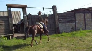 Русский рысак под седлом