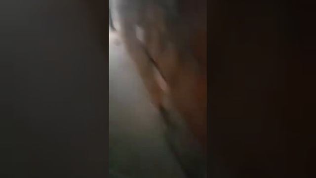 Запуск и управление приточной установки VTS совместно с увлажнителем carel. Видео 3 смотреть онлайн