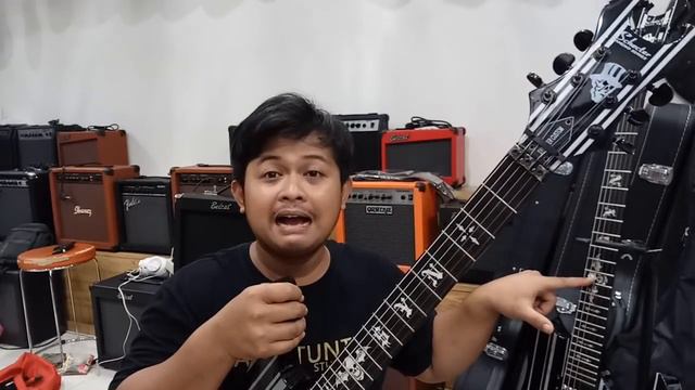 PERBEDAAN SCHECTER ORIE & KW Synyster gates смотреть онлайн