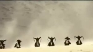 Сильный Нашид   Мы не ослабли  Ma Wahanna