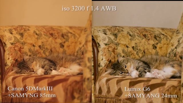 G6 vs 5DMIII_ iso3200, f1.4_ 2 смотреть онлайн