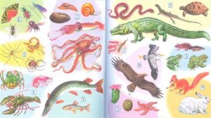 Окружающий мир. Рабочая тетрадь 3 класс 1 часть. ГДЗ стр. 50 №1