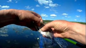 Самая уловистая снасть!!Сеть с кормушкой!Для ловли ленивых карасей!