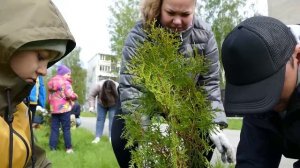 "Зелёный город" становится больше