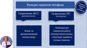 Биология, 11-й класс, Строение и функции эндокринных желез: гипофиз, эпифиз