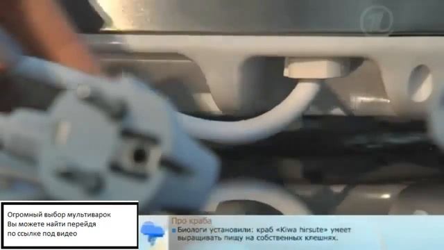 Как выбрать мультиварку скороварку