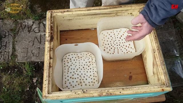 пчеловодство. весной говорим про осенний закорм смотреть онлайн