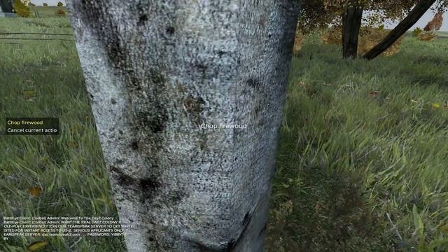 DayZ Выживание #9 Готовим после неудач смотреть онлайн