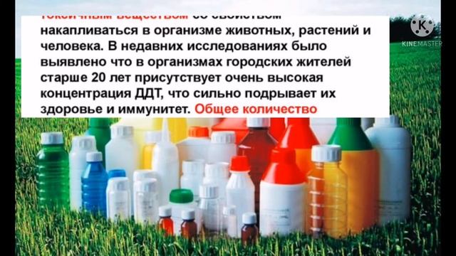 ВРЕД ХЛЕБА. ЧАСТЬ 1. Выращивание и хранение зерна.   Доктор веган сыроед Мирсаяпова Анна.
