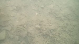 первая съемка под водой