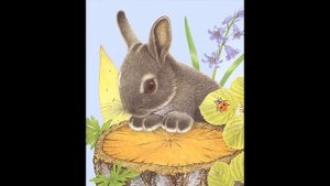 Сказка-шумелка "Трусливый заяц"