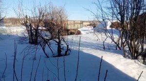 Сроки выставки пчел из зимовника / Как зимуют пчелы