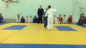 Демонстрация поединка по дзюдо