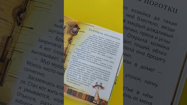 «Лесная аптека» - сказочная энциклопедия лекарственных растений смотреть онлайн