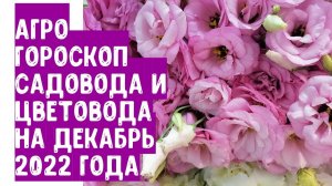 Агрогороскоп садовода и цветовода на декабрь 2022 года