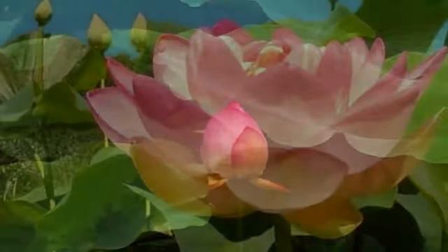 Beautiful Vairocana Buddha Mantra (KUNRIG) смотреть онлайн