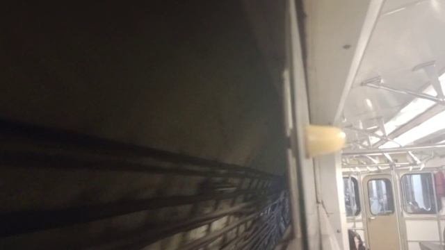 Поездка по Замоскворецкой линии от 