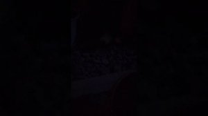 влог гуляю с котёнком ночью 😘  5 часть  Буся как обычно 2 месяца / гулянка с малой 🐈 vlogs 😽