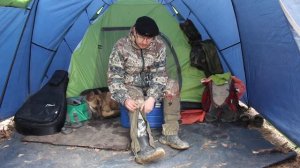 Гамаши для леса.