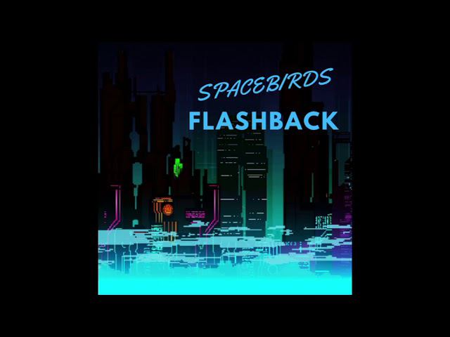 Spacebirds  -  Flashback [youtube promo] Synthwave