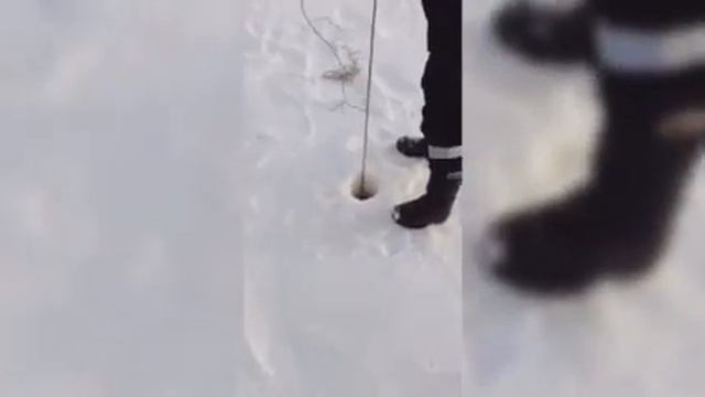 РЫБАЛКА НА ЗИМНИЙ ПАУК//Рыбалка Сибири ХМАО смотреть онлайн