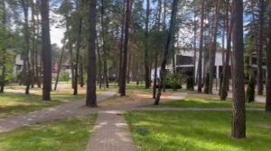 Отдых в Подмосковье.Сегодня сентябрь 2023 год.Парк-отель "Русский".