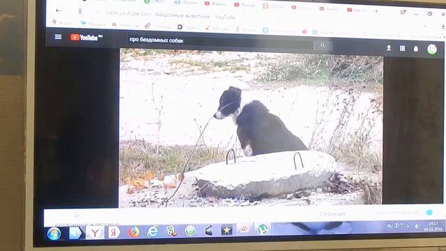 Собаки.Ирина Россия.Мои песни. смотреть онлайн