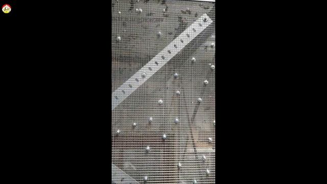 Видит ли азиатский шершень в темноте ? (опыт) Охотник на шершня