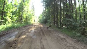 Поездка на мини багги