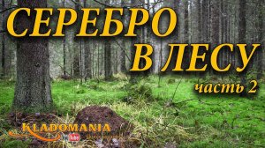 ПОИСК КЛАДОВ С ЛЕСУ. СЕРЕБРО в лесу  Часть 2. Кладомания