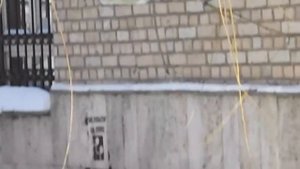 воробьи воробушки