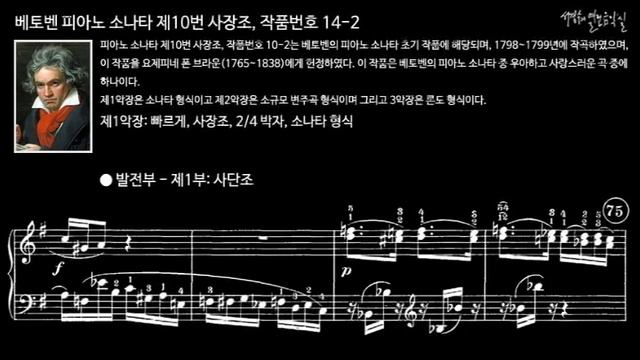 베토벤 피아노 소나타 제10번 사장조, 작품번호 14-2 제1악장 빠르게 смотреть онлайн