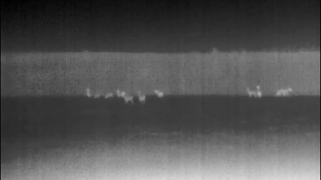 Тепловизор Pulsar axion 30s смотреть онлайн